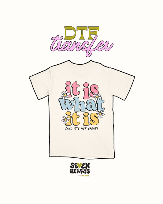 It is what it is - DTF Transfer