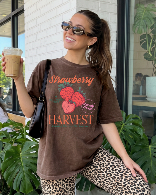 Strawberry harvest- DTF Transfers